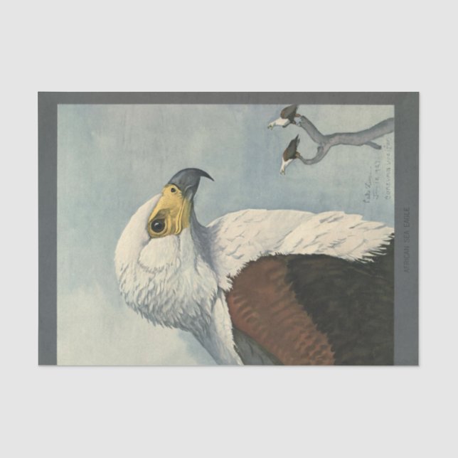Papier Mousseline Ephémère des oiseaux Découpage Aigle de mer (Recto)