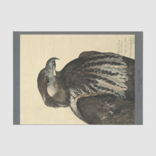 Papier Mousseline Ephémère des oiseaux Découpage Aigle de mer