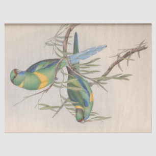 Papier Mousseline Ephémère des oiseaux Découpage Inséparables Vintag