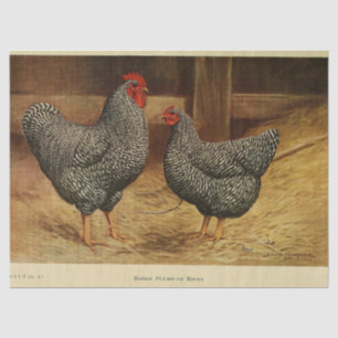 Papier Mousseline Ephémère d'oiseaux Découpage Rooster Vintage Hen B