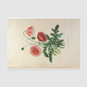 Papier Mousseline Ephémère florale Découpage Fleurs roses