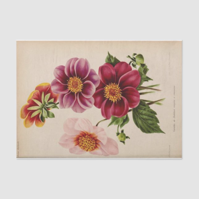 Papier Mousseline Ephémère florale Découpage Fleurs roses (Recto)