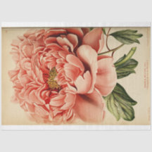 Ephémère Florale Découpage Peine rose