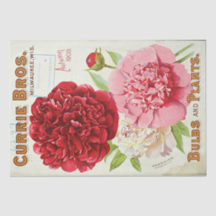 Papier Mousseline Ephémère Florale Découpage Peine rose Vintage