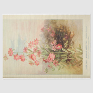 Papier Mousseline Ephémère Florale Découpage Rose Daisy
