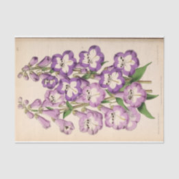 Papier Mousseline Ephémère Florale Découpage Violet Fleurs française
