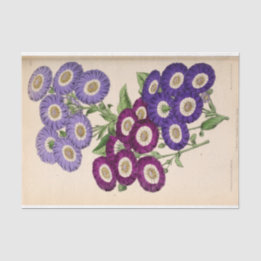 Papier Mousseline Ephémère Florale Découpage Violet Fleurs française