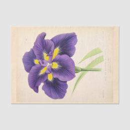 Papier Mousseline Ephémère florale Découpage violet Fleurs française