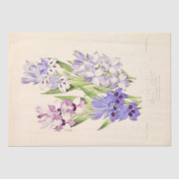 Papier Mousseline Ephémère Florale Découpage Violet Fleurs française