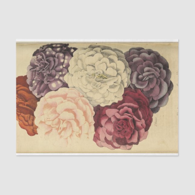 Papier Mousseline Ephémère florale Découpage violet rose blanc (Recto)