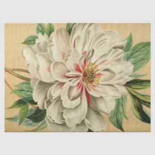 Papier Mousseline Ephémère Florale vintage Découpage Blanc