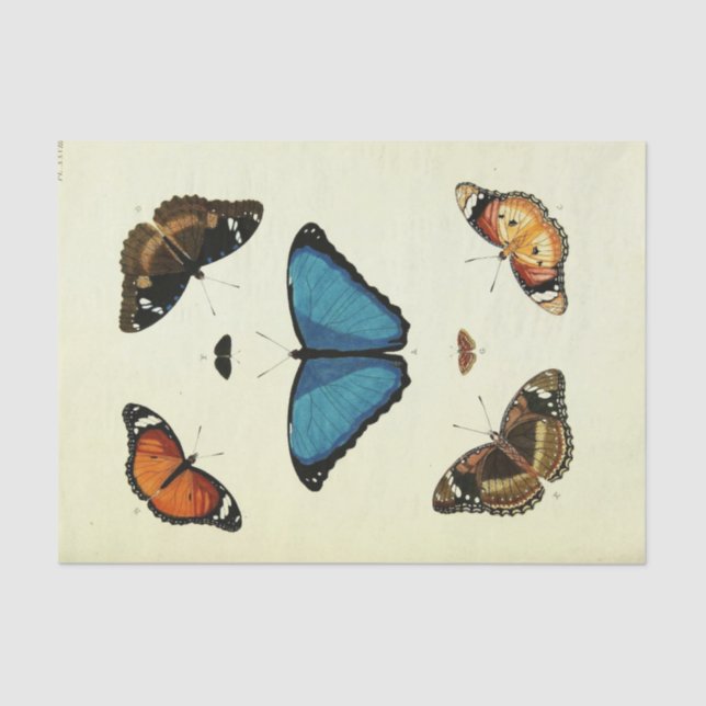 Papier Mousseline Éphémère papillon bleu vintage Script T (Recto)