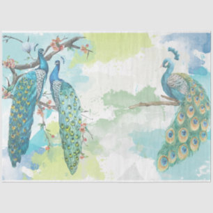 Papier Mousseline Ephémère Peacock 2