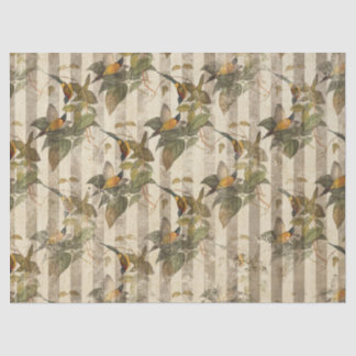 Papier Mousseline Ephémérite Birds Series Design Sept