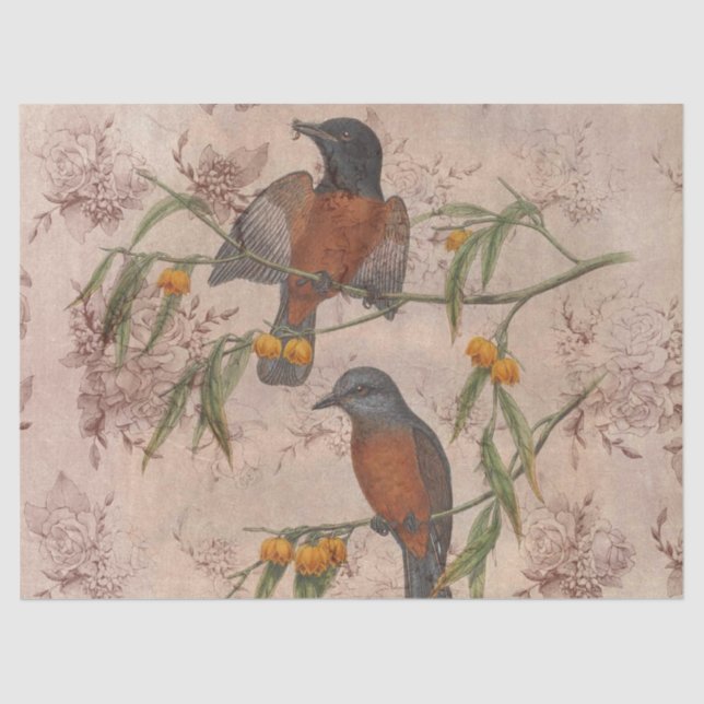 Papier Mousseline Ephémérite Birds Series Design Trois (Recto)