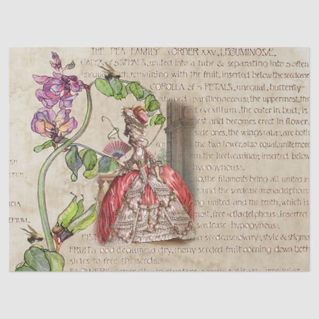 Papier Mousseline Éphémisme royal du XVIIIe siècle (Recto)