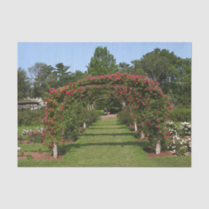 Papier Mousseline Escalade Rose Arch Elizabeth Park Garden Hartford