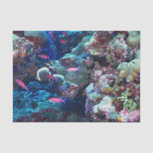Papier Mousseline Espèce marine tropicale