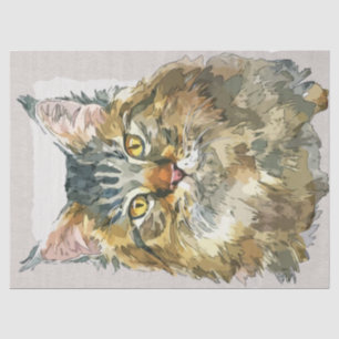 Papier Mousseline Esquisse d'aquarelle de la race de chats du Maine