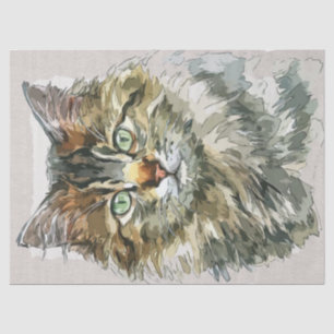 Papier Mousseline Esquisse d'aquarelle de la race de chats du Maine