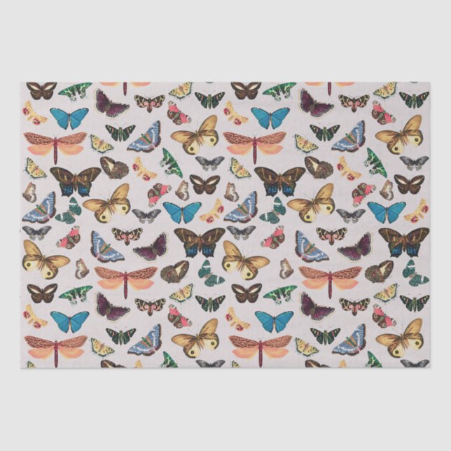 Papier Mousseline esthétique papillon vintage (Recto)