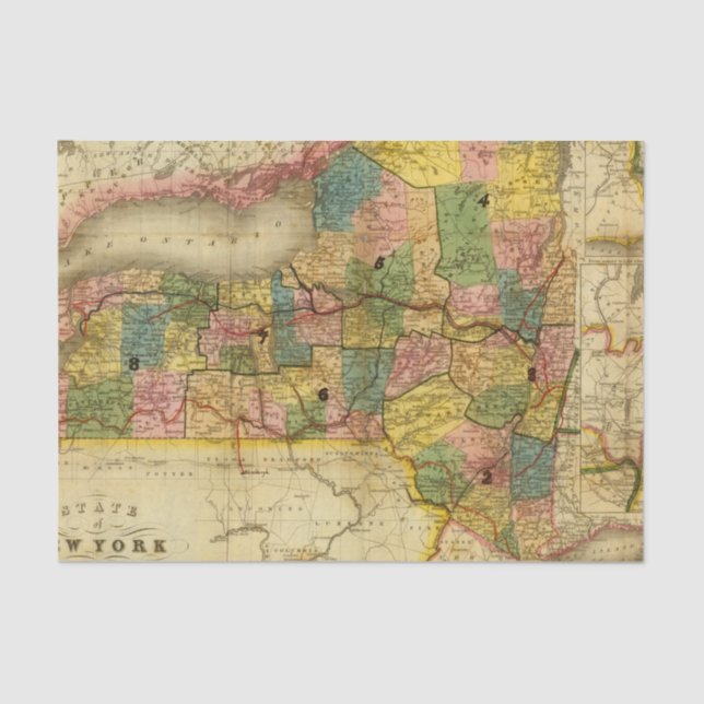 Papier Mousseline État de New York par des bavures de CAD (Recto)