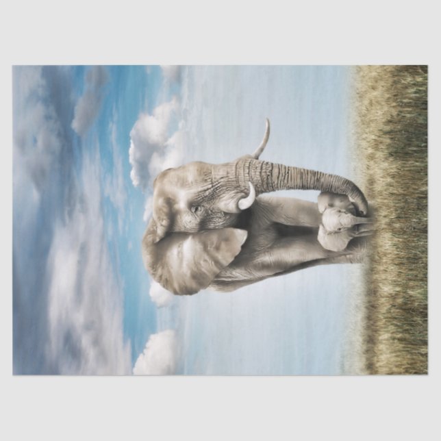 Papier Mousseline Etonnant Eléphant bébé veau (Recto)