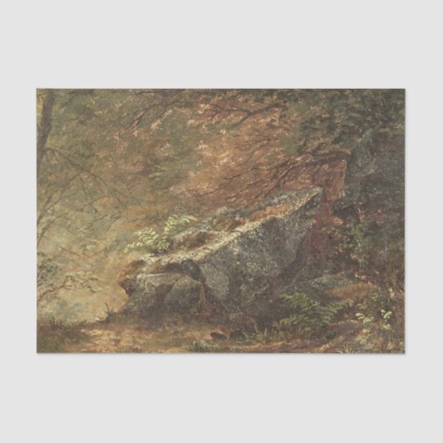 Papier Mousseline Étude des fougères par Mary Josephine Walters (Recto)