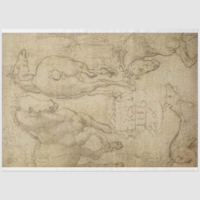 Papier Mousseline Étude d'un document de découpage de cheval (Recto)