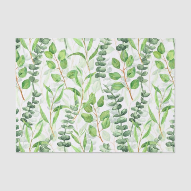 Papier Mousseline Eucalyptus (Recto)