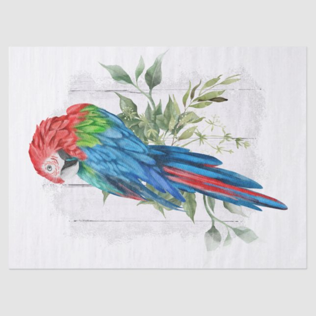 Papier Mousseline Eucalyptus du perroquet macaw (Recto)