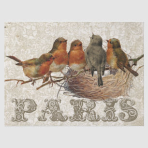 Papier Mousseline European Robin Birds Nest Paris Decoupage