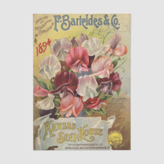 Papier Mousseline F. Barteldes & Co 1894 Vintage Seed Catalog