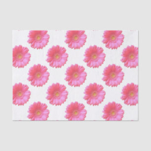Papier Mousseline Faisée de gerbera rose