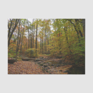 Papier Mousseline Fall Creek à Laurel Hill State Park Pennsylvania