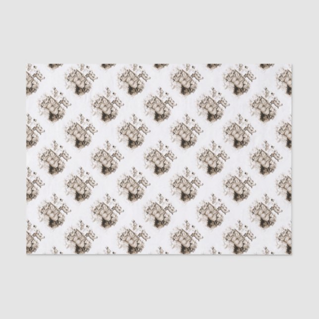 Papier Mousseline Famille Bobcat (Recto)