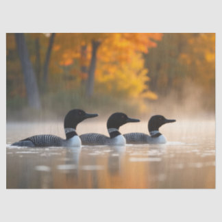 Papier Mousseline Famille de Loon en automne