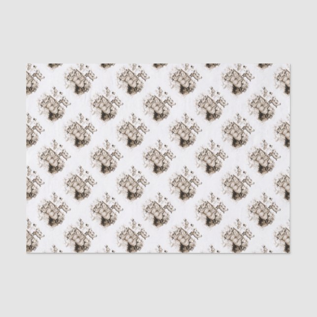 Papier Mousseline Famille de Lynx roux (Recto)