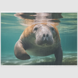 Papier Mousseline Famille Manatee Océanique Découpage