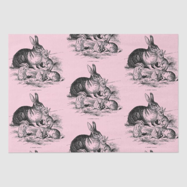 Papier Mousseline Famille Vintage de lapin - dessin (Recto)