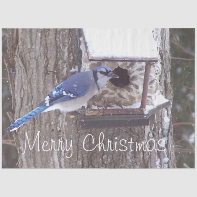 Papier Mousseline Faune Blue Jay Noël Grey Tissue (Recto)