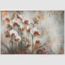 Faune et flore des orchidées