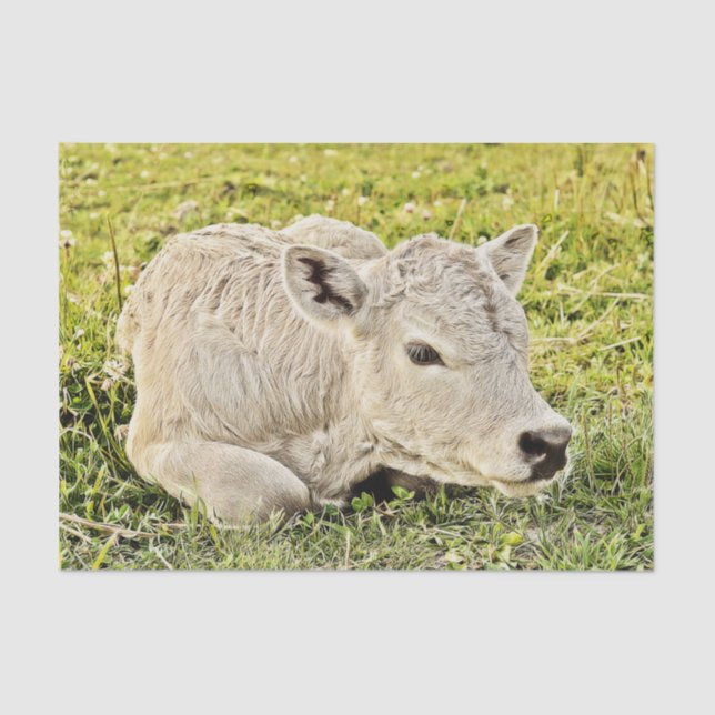 Papier Mousseline Ferme de vaches découpage de campagne rustique (Recto)