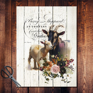 Papier Mousseline Ferme Florale Chèvres Nubiennes