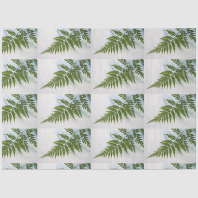 Papier Mousseline Fermer l'interface avec l'espace de texte (Recto)