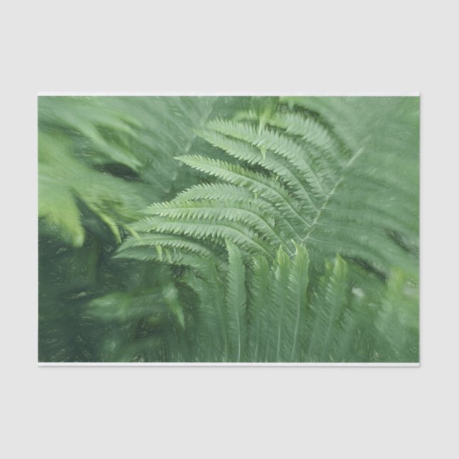 Papier Mousseline Fern Feuille Botanical Green Art (Recto)