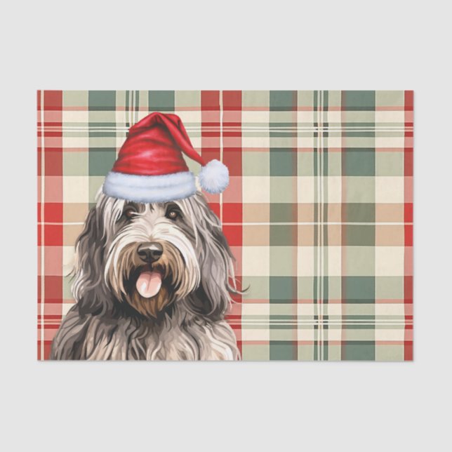 Papier Mousseline Festif Bergamasco Chien Plaid Noël (Recto)