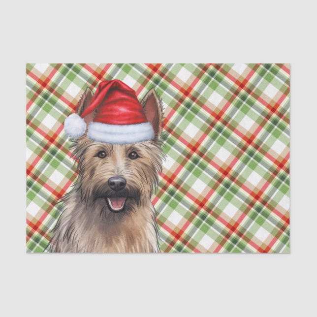 Papier Mousseline Festif Berger Picard Chien Plaid Noël (Recto)