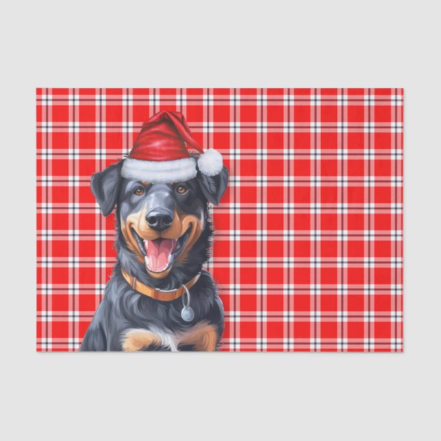 Papier Mousseline Festive Red Plaid et Beauceron Chien Noël (Recto)