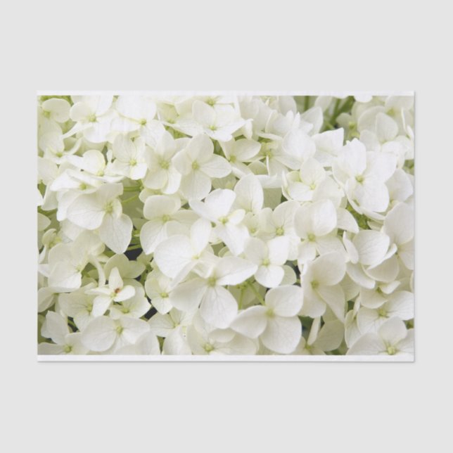 Papier Mousseline Fête d'été avec hortensia blanc  (Recto)